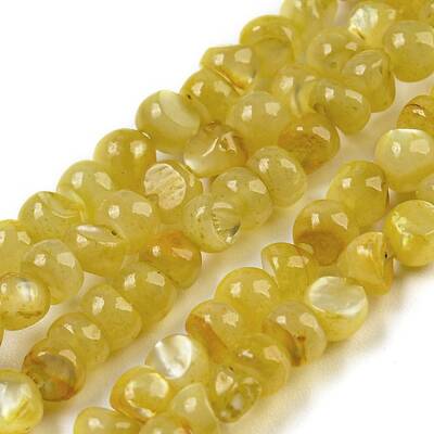 Natural White Shell Dyed Beads Strands