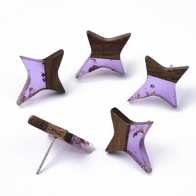 Transparent Resin & Walnut Wood Stud Earrings