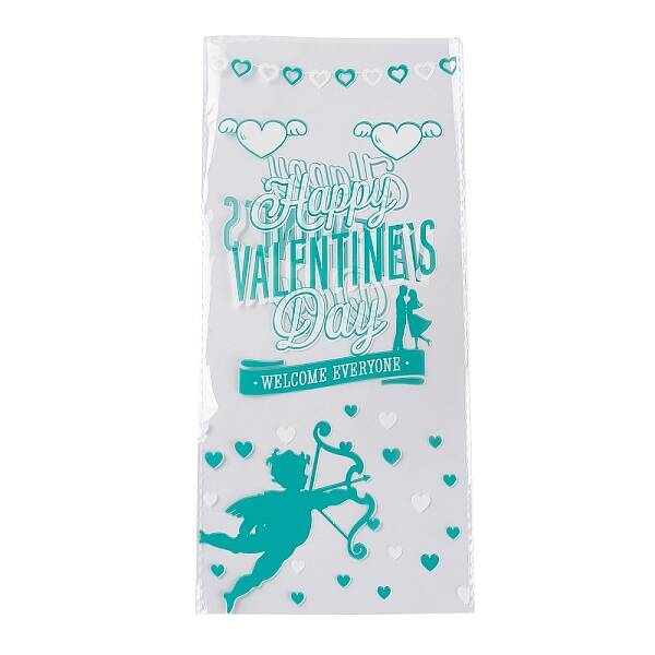 OPP Plastic Storage Bags