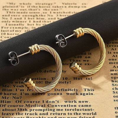 304 Stainless Steel Stud Earrings