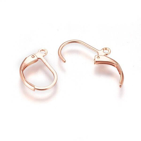 304 Stainless Steel Leverback Earring Findings
