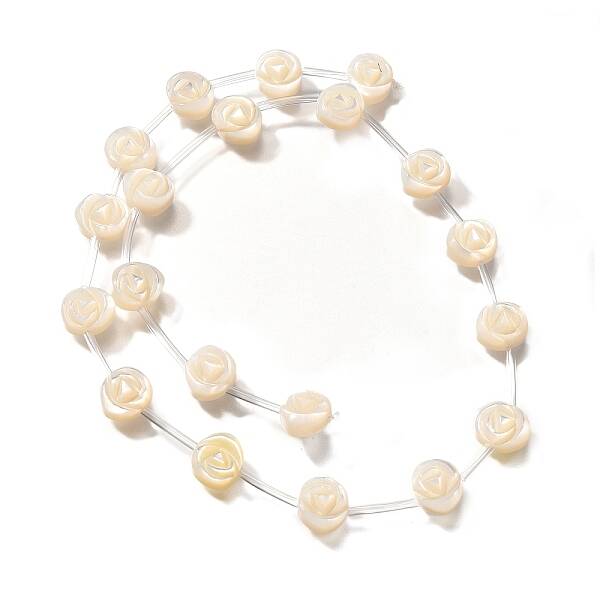 Natural White Shell Beads