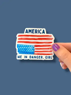 Upside Down American Flag Vinyl Sticker, America In Distress, Anti Trump, Pop Culture Movie Quote, Funny / Timely / Political...