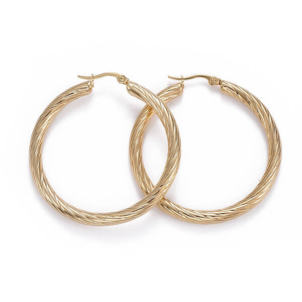 304 Stainless Steel Hoop Earrings