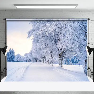 Snowy Frozen Forest Sunny Winter Scene Backdrop - Aperturee