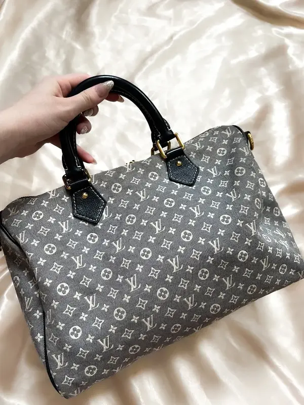 Pre-owned Louis Vuitton Canvas Crossbody Bags Mini Lin Speedy 30B