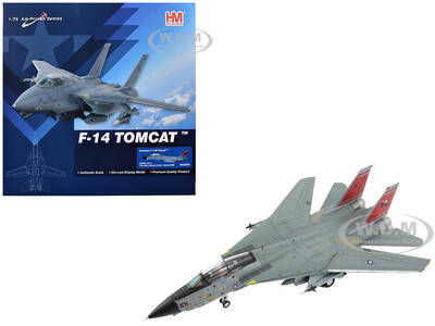 Grumman F-14D Tomcat Fighter Aircraft \