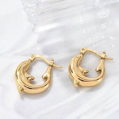 304 Stainless Steel Hoop Earrings For Women