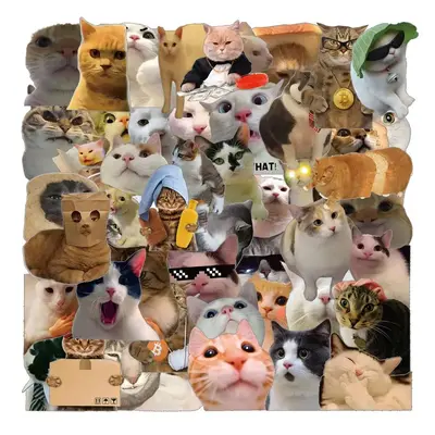 Cute Cat Meme Sticker, 50pcs/set Waterproof Self Adhesive Decor Paper, Decor Sticker for Gift Greeting Card Water Bottle Lapt...