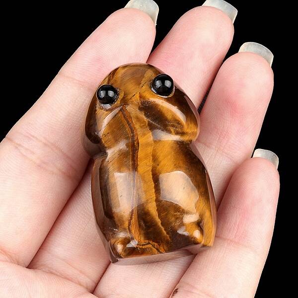Natural Tiger Eye Carved Frog with Eye Figurines