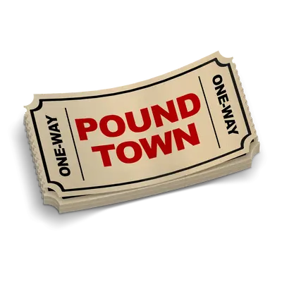 Pound Town Ticket - Hard Hat Decal
