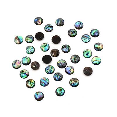 Paua Shell Cabochons