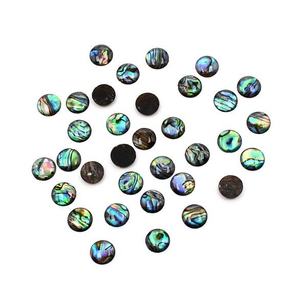 Paua Shell Cabochons