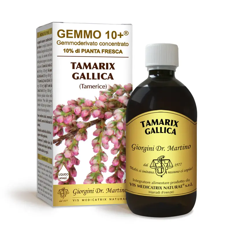 Dr Giorgini gemmo 10+ tamarisk 500 ml non-alcoholic liquid