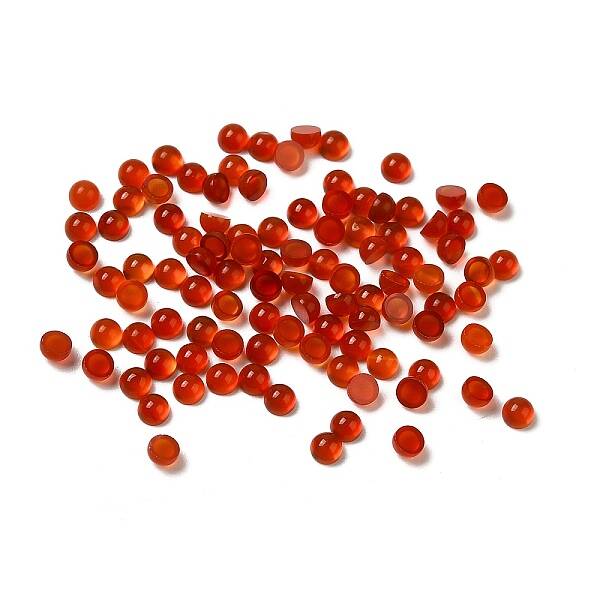 Natural Carnelian Dome/Half Round Cabochons