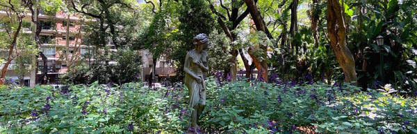 El Jardín Botánico Carlos Thays: lo mejor de un hermoso museo al aire libre