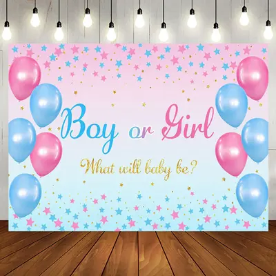 Blue Pink Balloon Star Boho Gender Reveal Backdrop - Aperturee