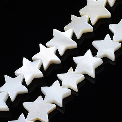 Natural Freshwater Shell Beads Strands