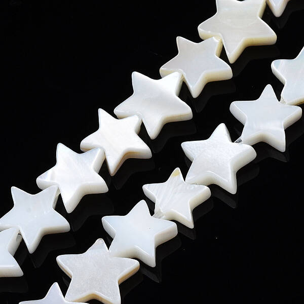 Natural Freshwater Shell Beads Strands