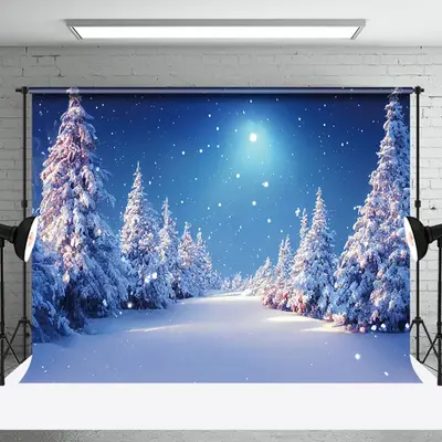 Aperturee Snowflake Bule Sky Peaceful Winter Backdrop - Aperturee