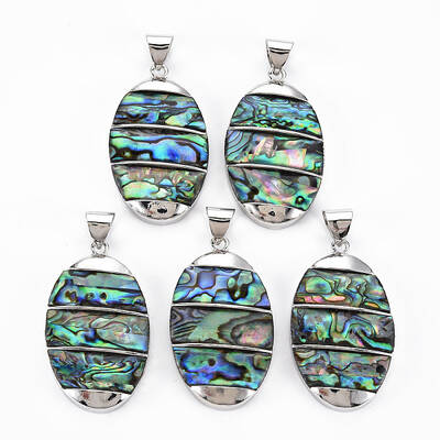 Natural Abalone Shell/Paua Shell Big Pendants