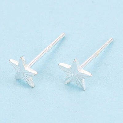 925 Sterling Silver Stud Earrings