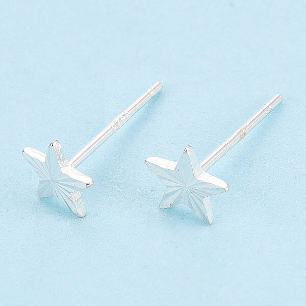 925 Sterling Silver Stud Earrings