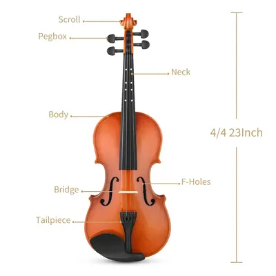 Eastar EVA-2 Violin Set for Beginners with Hard Case/Rosin/Shoulder Rest/Bow/Extra Strings 1/4,1/2,3/4,4/4 - 4/4