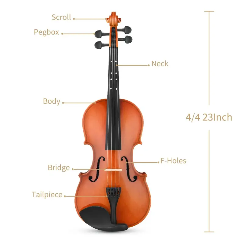 Eastar EVA-2 Violin Set for Beginners with Hard Case/Rosin/Shoulder Rest/Bow/Extra Strings 1/4,1/2,3/4,4/4 - 4/4