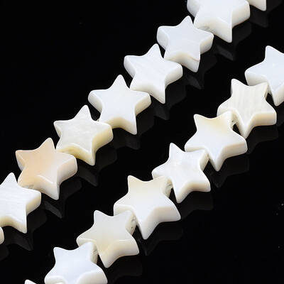 Natural Freshwater Shell Beads Strands
