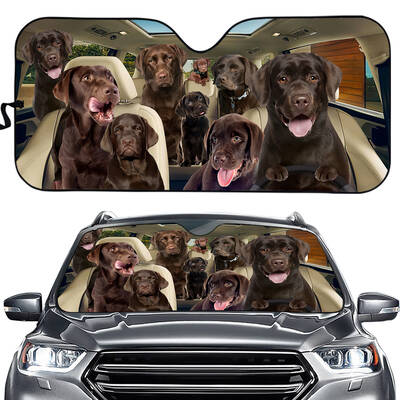 Chc3011 Labrador Retriever Car Sun Shade