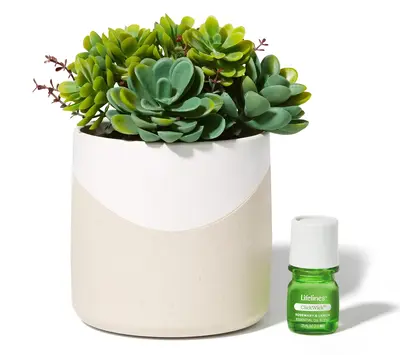 Lifelines Rechargeable Fauxe Plant Aroma Diffuser