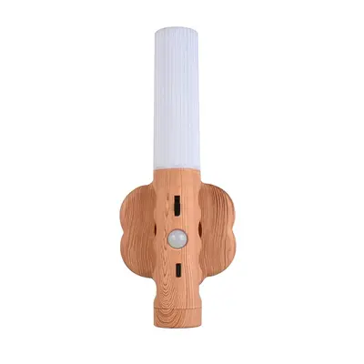 Home Smart Infrared Sensor Lamp | Light Source Power: 1W | Light Color: White Light
