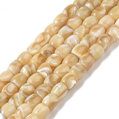 Natural Trochid Shell/Trochus Shell Beads Strands