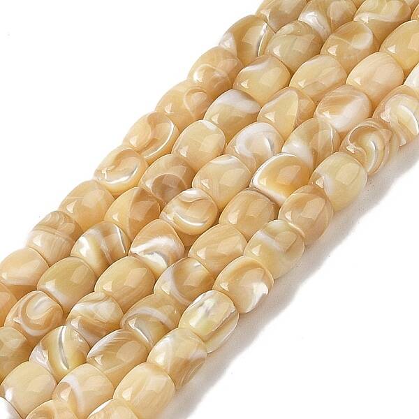 Natural Trochid Shell/Trochus Shell Beads Strands