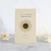 Lucid Dreams Beginner Tarot Card Game, 1 Box 78 Cards Deck, Fortune Telling Card Game, Casual Table Game for Fun & Mysterious...