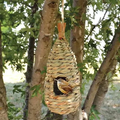 Roosting Pocket Birdhouse | 100% Natural Reed Grass - Hive