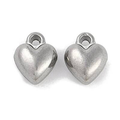 304 Stainless Steel Charms