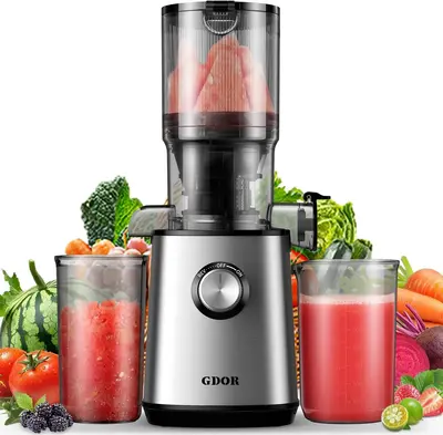 Cold Press Juicer with 3.5” Feed Chute, Powerful 150NM Motor, Simple operation, Slow Masticating Juice Extractor Fits Whole...