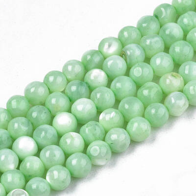 Natural Freshwater Shell Beads Strands