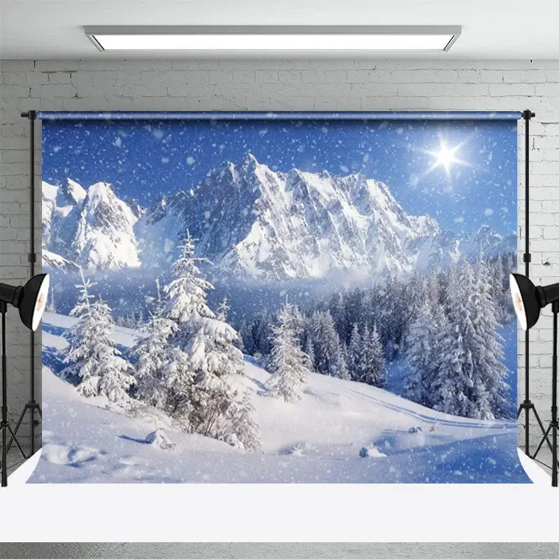 Winter Snow Mountain Cedar Forest Sunshine Backdrop - Aperturee