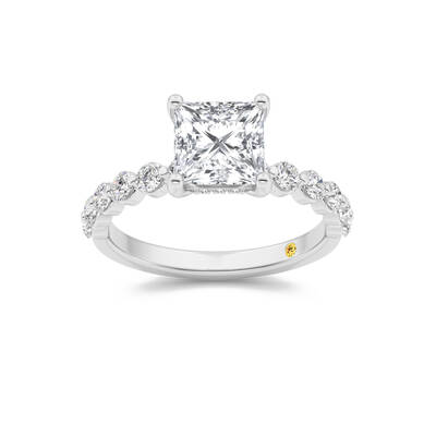 Frost Shared Prong Princess Cut Lab Grown Diamond Engagement Ring | 14K White Gold 1 1/2 CT. TW.