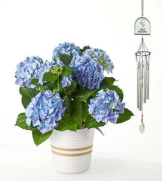 Beyond Blue Hydrangea and Love Blooms Windchime Gift Set - FedEx
