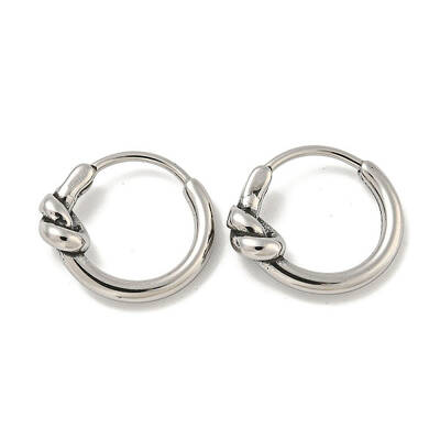 316 Surgical Stainless Steel Hoop Earrings for Women and Men