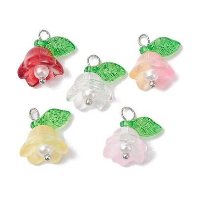 Mixed Color Glass Pearl & Acrylic Charms