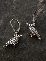 Retro Bird Design Earrings, Punk Earrings, Fashion Jewelry for Women & Men, Mystical Jewelry Gifts