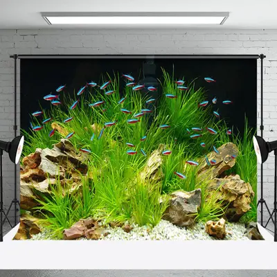 Green Seaweed Stone Fish Tank Landscaping Backdrop - Aperturee