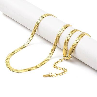 Ion Plating(IP) 304 Stainless Steel Snake Chain Necklaces for Women