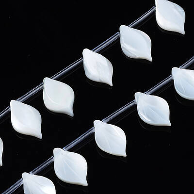 Natural White Shell Beads Strands