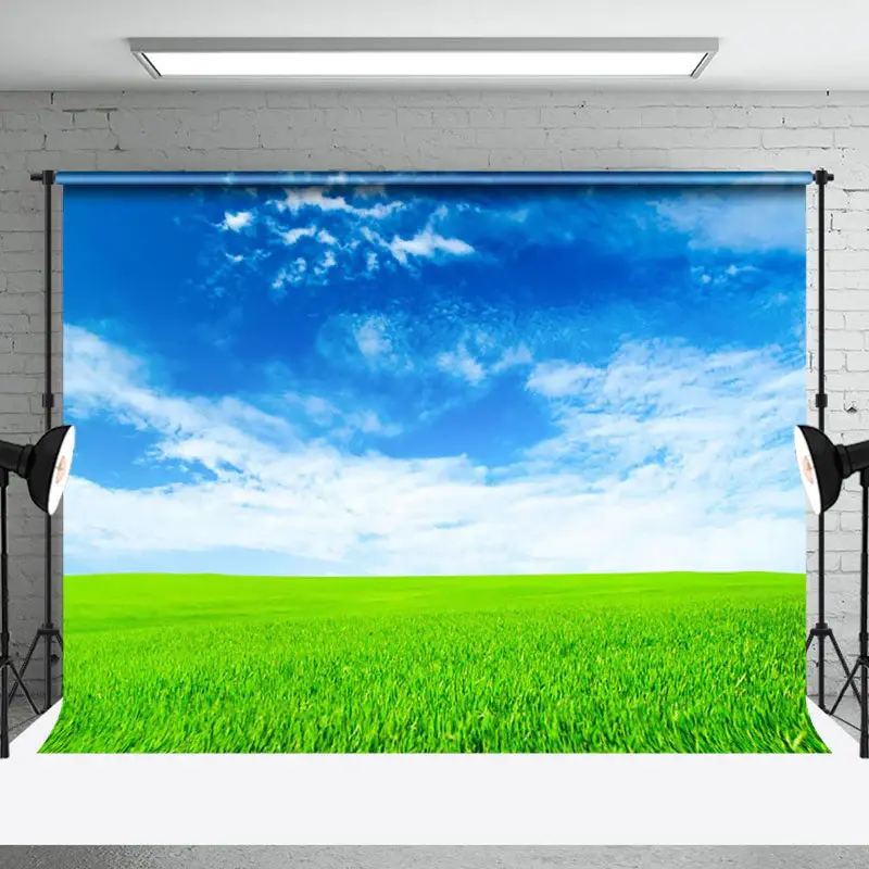 Sunny Prairie Blue Sky Landscape Photo Backdrop - Aperturee